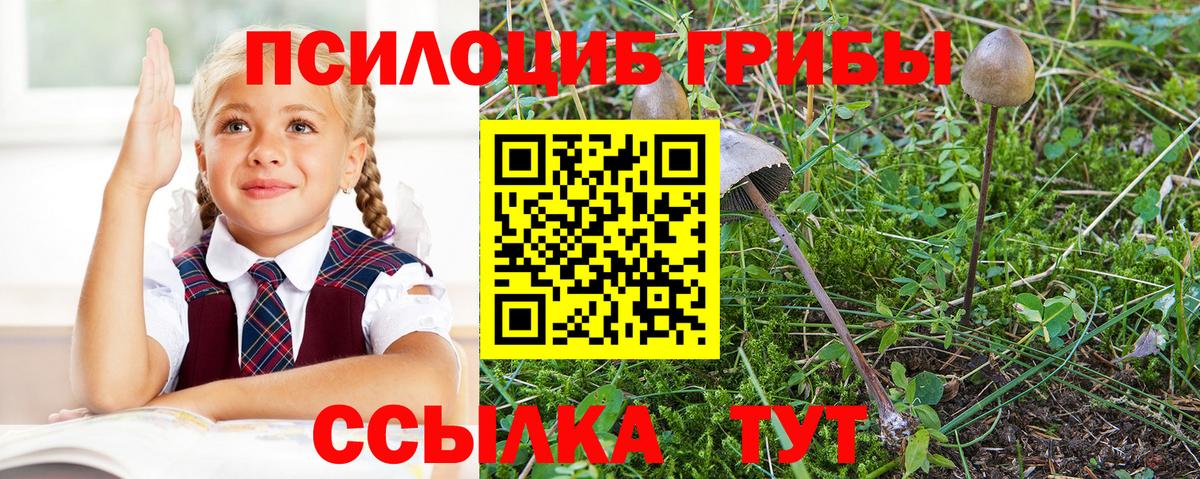 Псилоцибиновые грибы GOLDEN TEACHER Острогожск